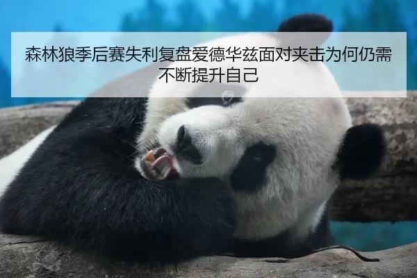 森林狼季后赛失利复盘爱德华兹面对夹击为何仍需不断提升自己