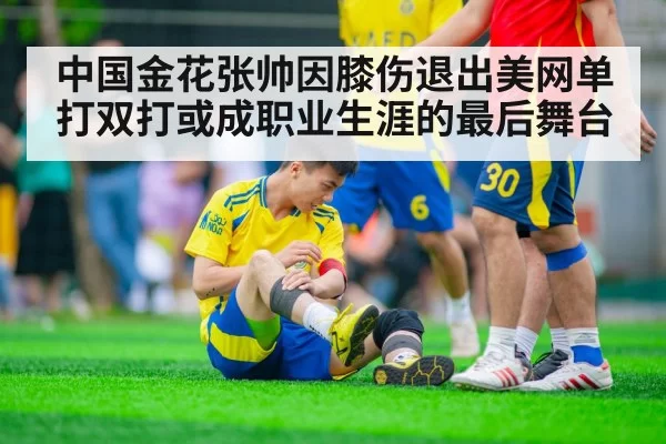 中国金花张帅因膝伤退出美网单打双打或成职业生涯的最后舞台